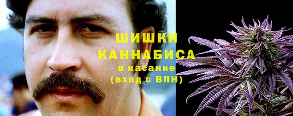 гидра Киреевск